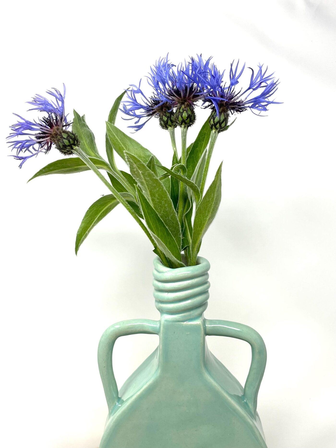 Slab-Built White Clay Vase, Light Green Translucent Glaze — in use